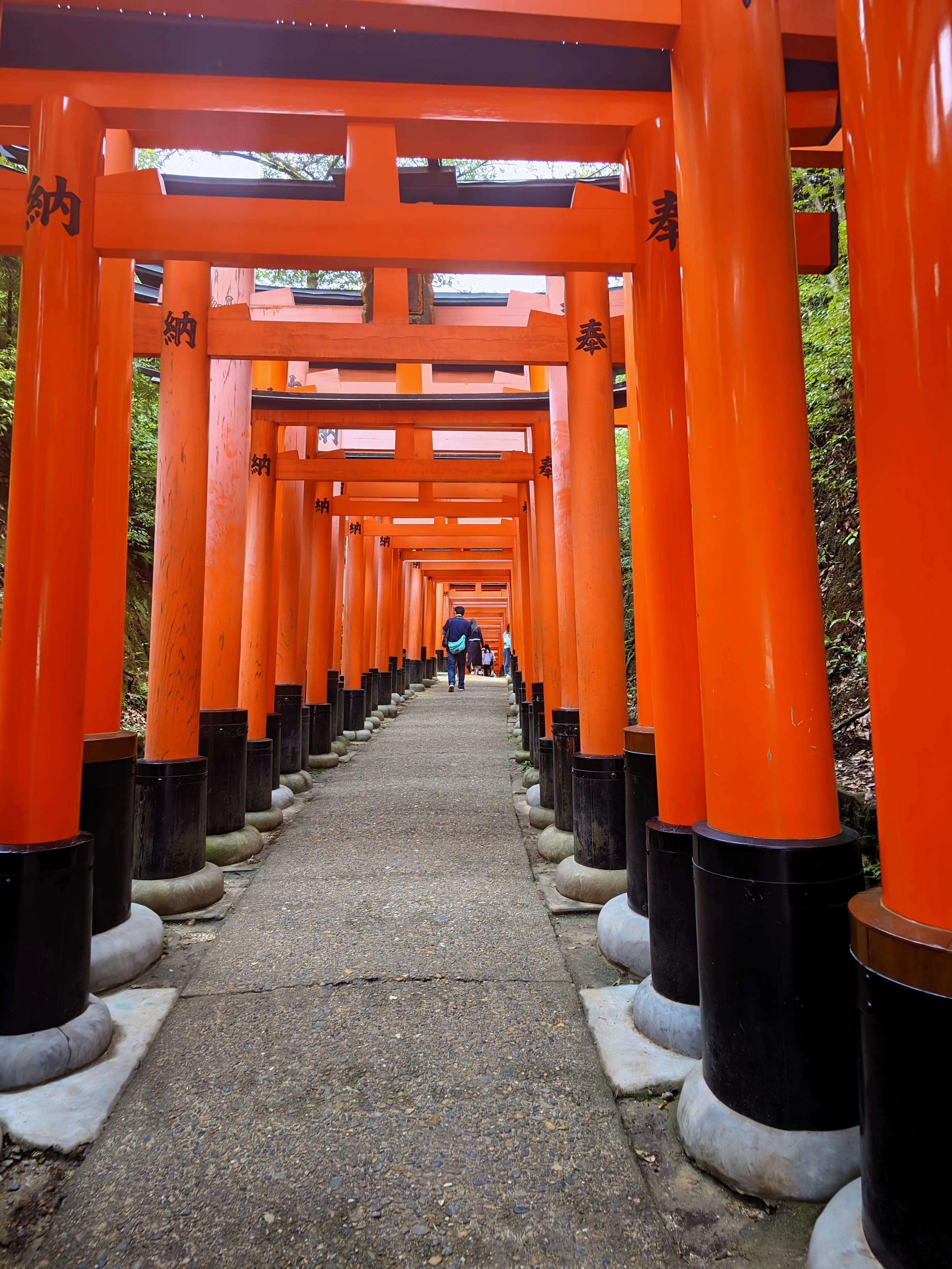 千本鸟居