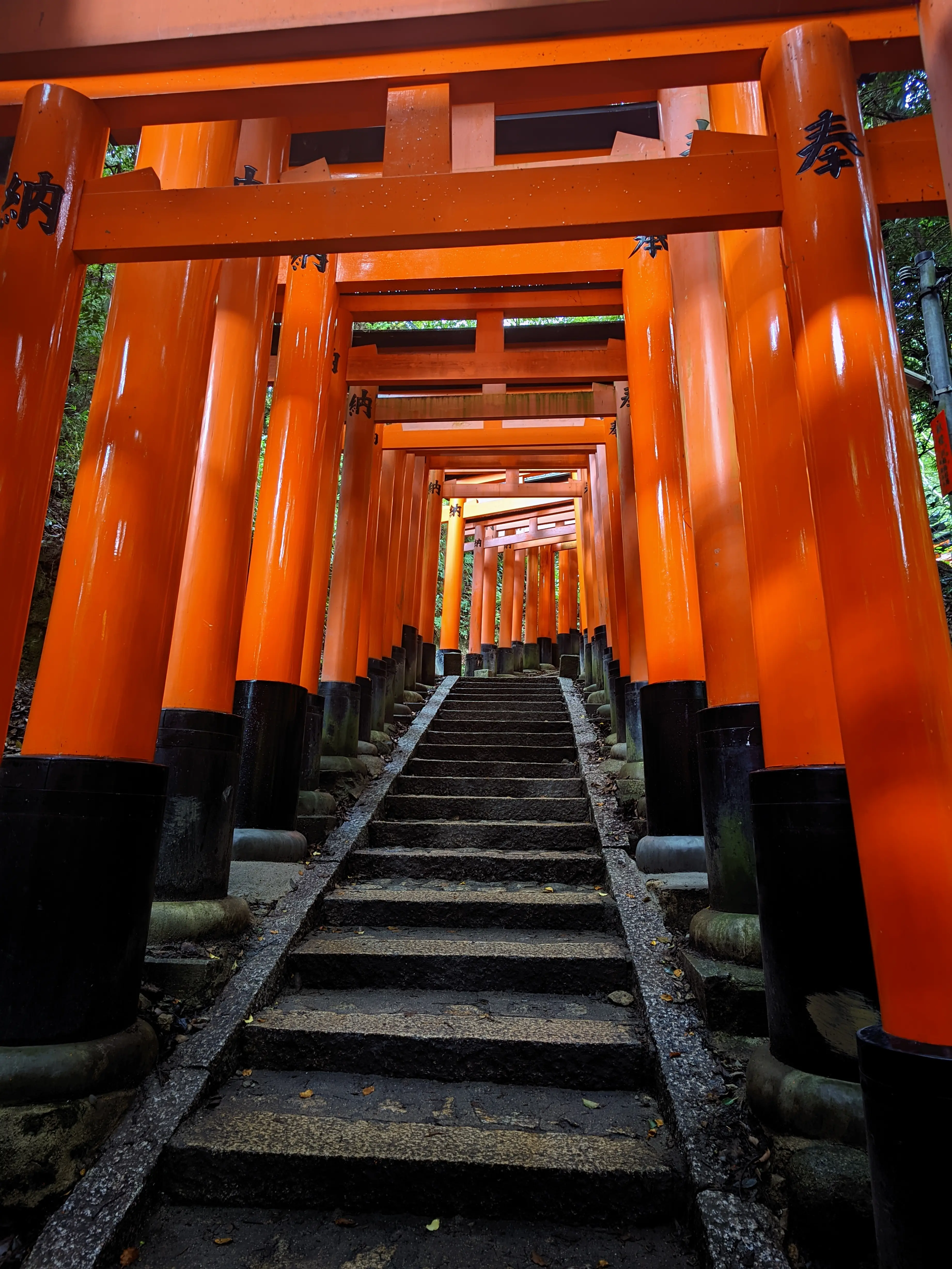 千本鸟居