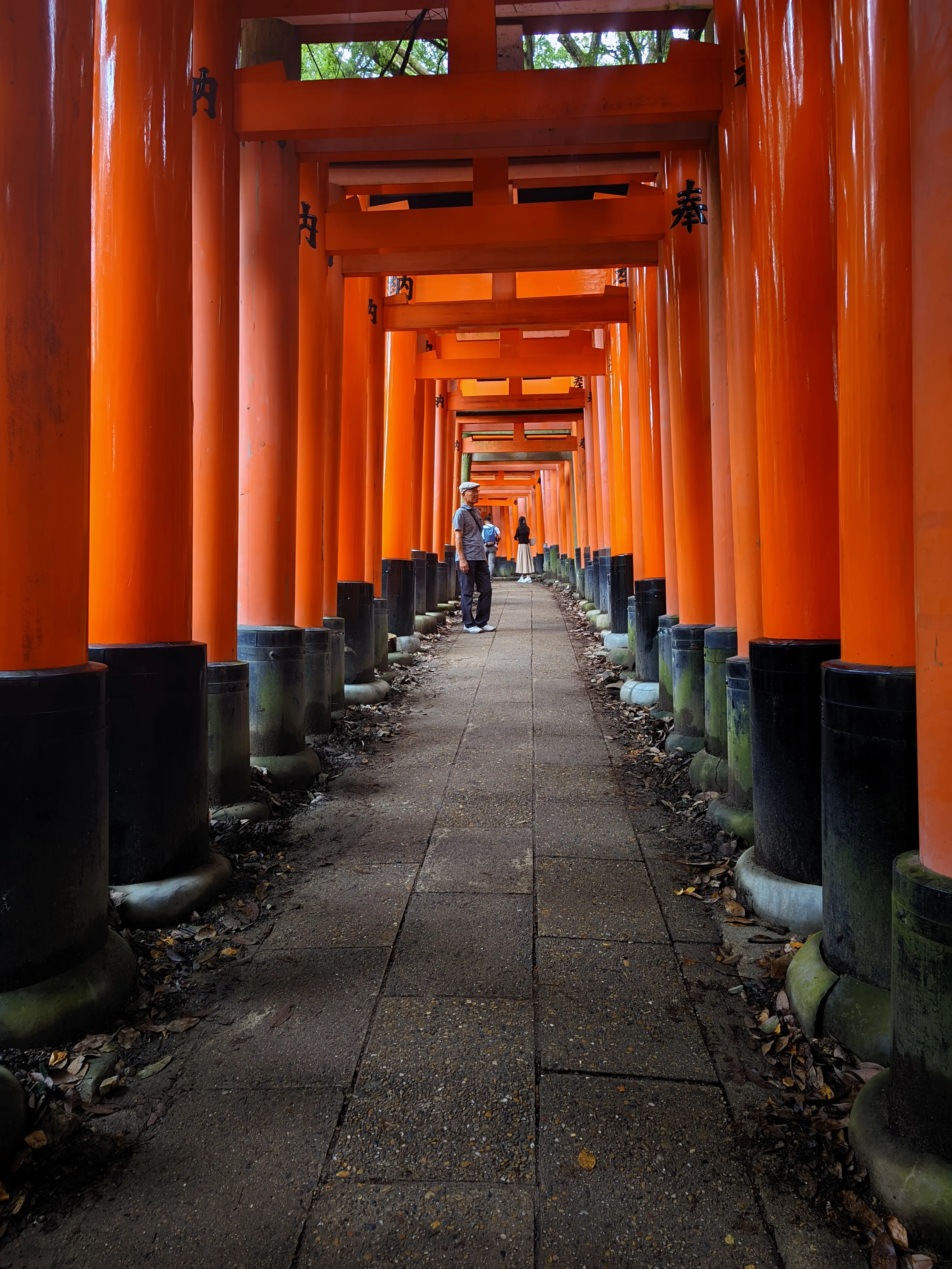 千本鸟居